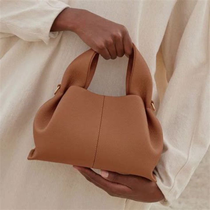 Pólène Bag: The Epitome Of Chic And Elegance