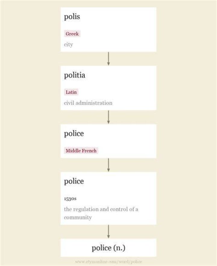 police Etymology of police by
