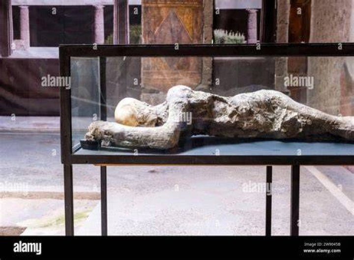 Pompeii Petrified Bodies Pompeii, Pompeii bodies, Ancient pompeii