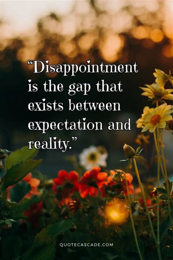 Quotes About Disappointment Inspiration