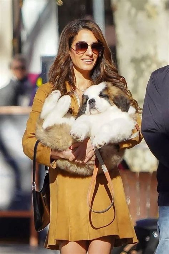 Rare sighting of adorable Clooney twins Queensland Times