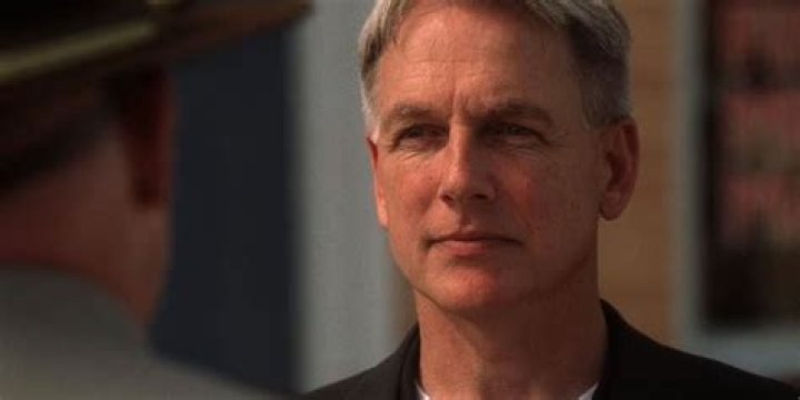 Retired NCIS star Mark Harmon walks his dogs as seen for the first time