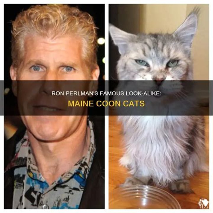 Ron Perlman looks like the lovechild of Will Ferrell and Gary Busey r