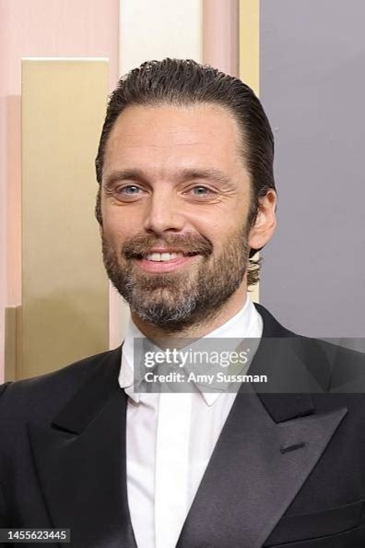 Sebastian Stan attends the 80th Annual Golden Globe Awards at The