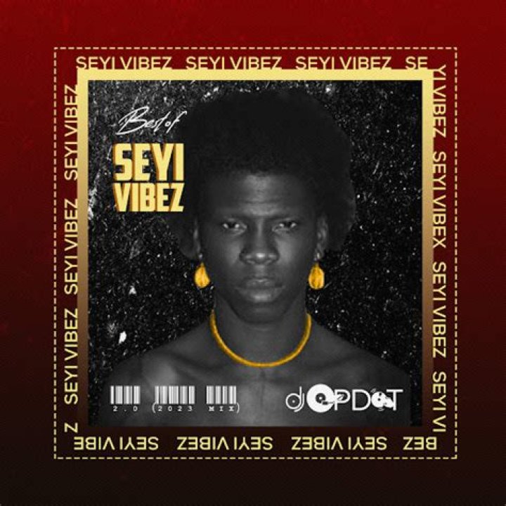 Seyi Vibez shows off new house The Nation Newspaper