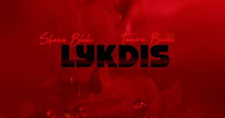 Shanin Blake x Tamara Bubble Lyk Dis [Official Audio] YouTube
