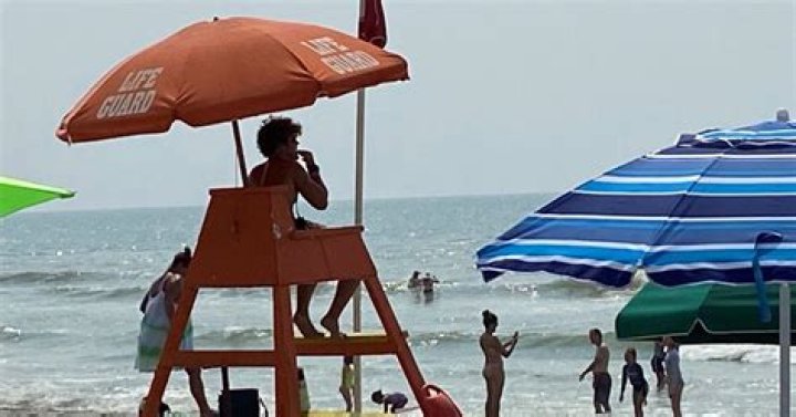 Shark attacks lifeguard on Hilton Head Island 41NBC News WMGTDT