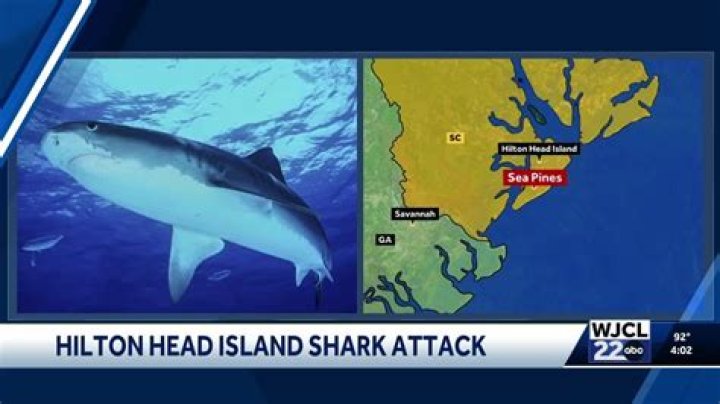 Shark bite reported in Hilton Head