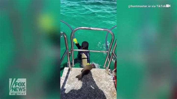 Shark Bite Video shows Shore Beach Service responding to victim on