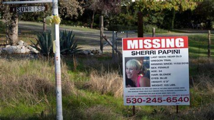 Sherri Papini, California mom behind kidnapping hoax, sobbed when
