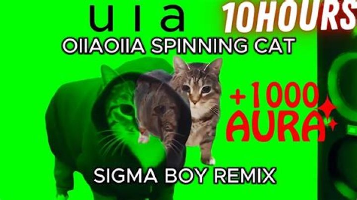 SIGMA BOY🥶🥶 YouTube