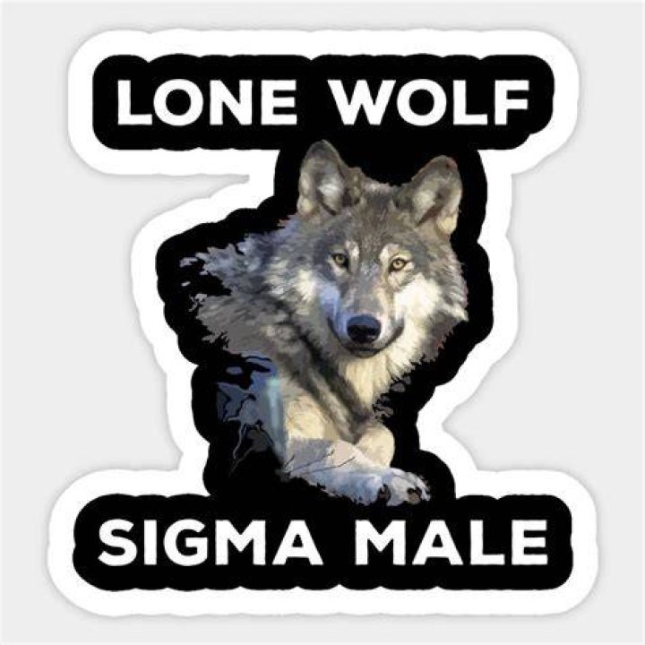 Sigma Male Examples: Understanding The Lone Wolf Archetype