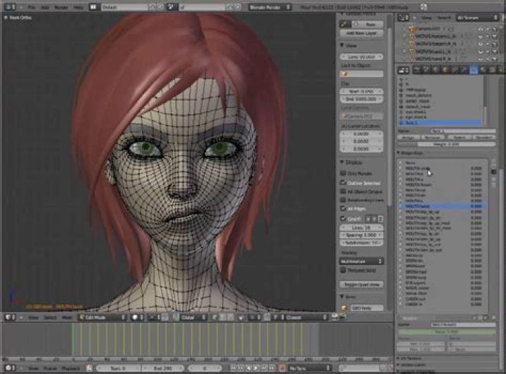 Sintel DVDs have shipped with film, commentaries, and Blender tutorials