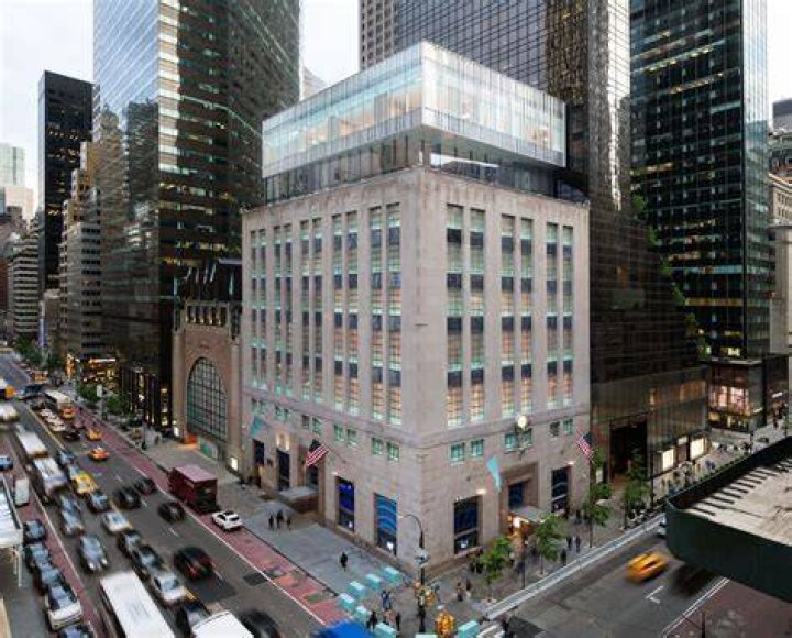 Siobhan Geary New York, New York, United States Professional