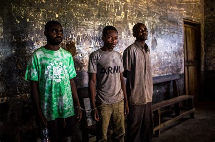 Smuggled, Beaten and Drugged The Illicit Global Ape Trade The New