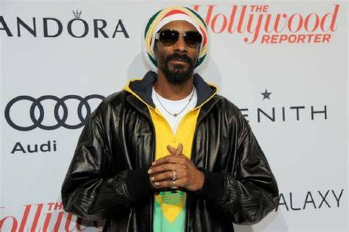 Snoop Dogg Arrested in Sweden on Illegal Drug Suspicions Snoop Dogg