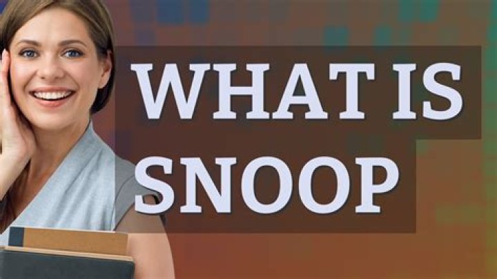 Snoop Meaning: Unraveling The Intricacies Of Curiosity