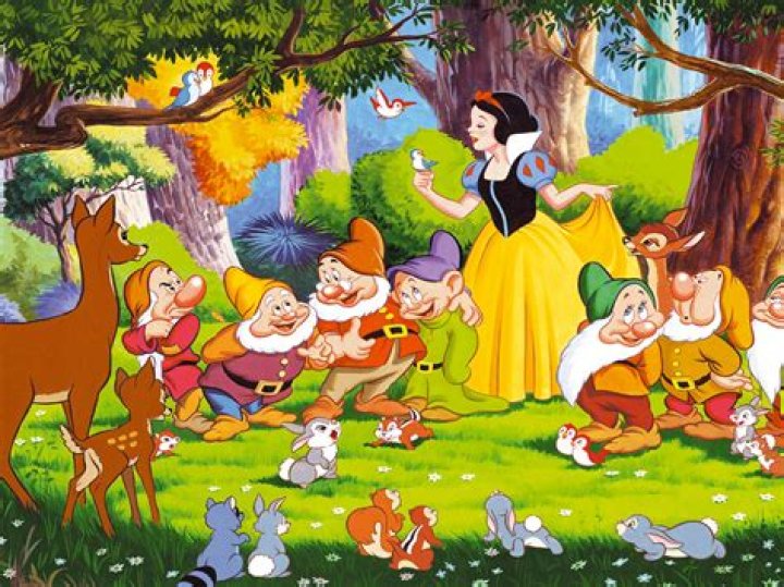 **SNOW WHITE AND THE SEVEN 7 DWARFS ******* ***FABRIC/TSHIRT IRON ON