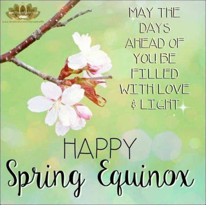 Spring Equinox Meme Phenomenon Spring Equinox Meme for famous with Equator, Geometric, Passes