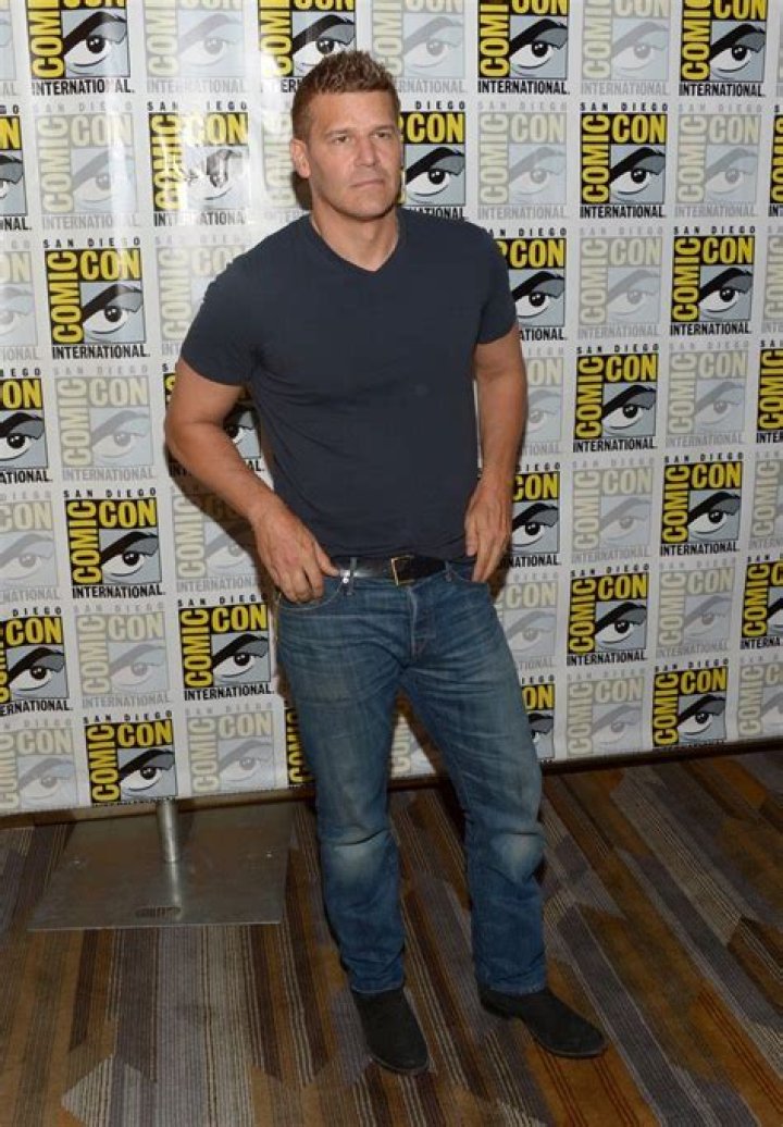 Steve Howey Age, Height, Biography, Wife, Children & Family
