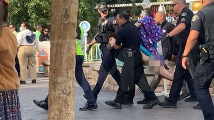 Streaker dragged from Disneyland after stripping naked inside 'It&rsquo;s a