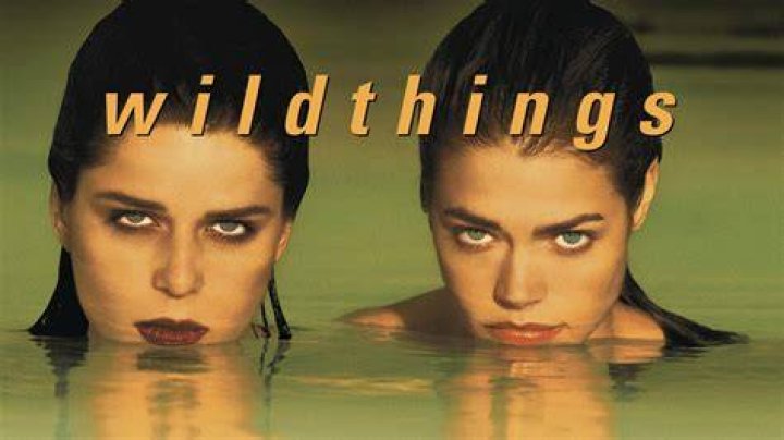 Streaming Wild Things (1998) Online Movies NETFLIXON.STREAM