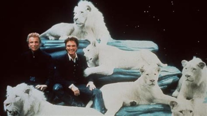 Stunning Pictures Of Legendary Magicians Siegfried And Roy