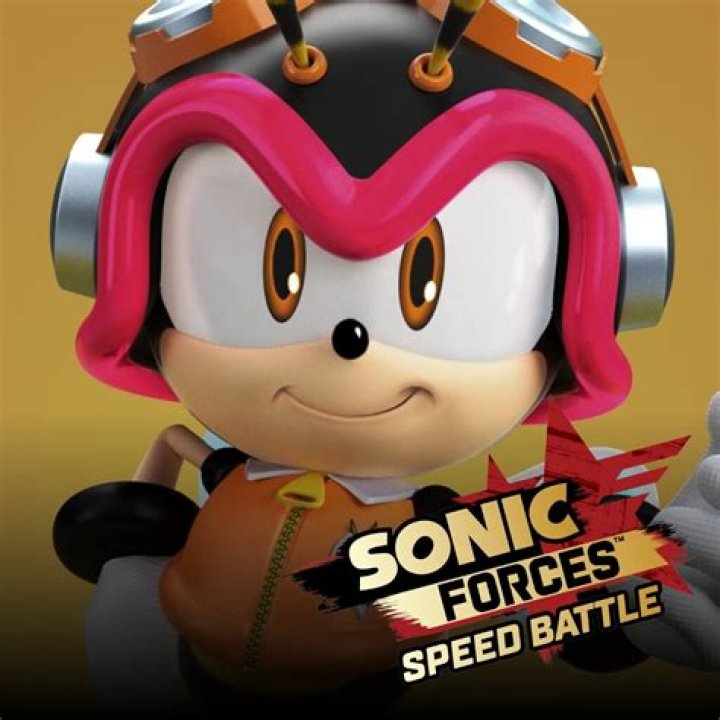 Surface Digital Sonic Forces Speed Battle Amy
