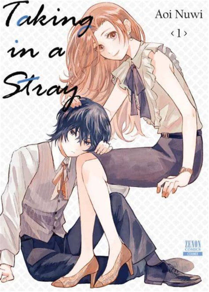Taking in a Stray Manga Gets A LiveAction Show Release Date, Actors