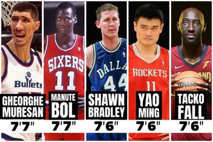 Tallest Players in Sports