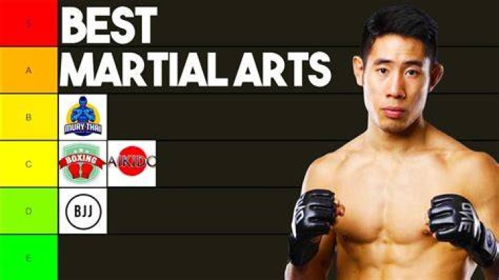 The 25 Best Martial Arts Movies of All Time Page 2 Taste of Cinema