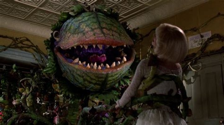 The 30 Weirdest Horror Movies of the 1970s