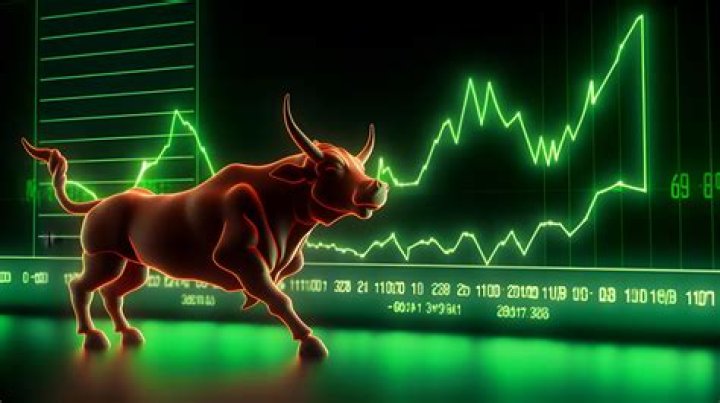 The Big Bull Hemant Shah: The Rise Of A Stock Market Maverick