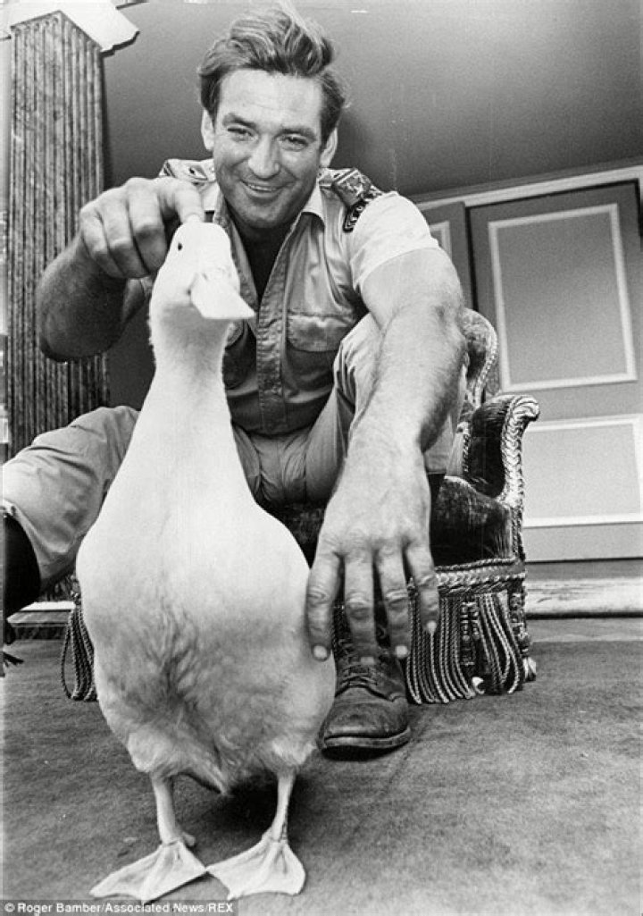 The Birds Actor Rod Taylor Has Died at 84 Death, The Birds, Movie