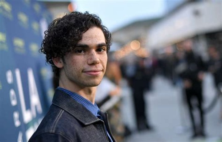 The Complete List Of Cameron Boyce's Movies: Unveiling His Cinematic Legacy