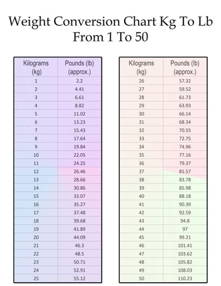 the differences between kg andlbs in each other's purses info graphic