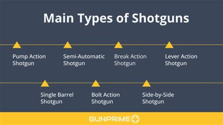 The Different Types of Shotguns Explained Gun Shop Near You