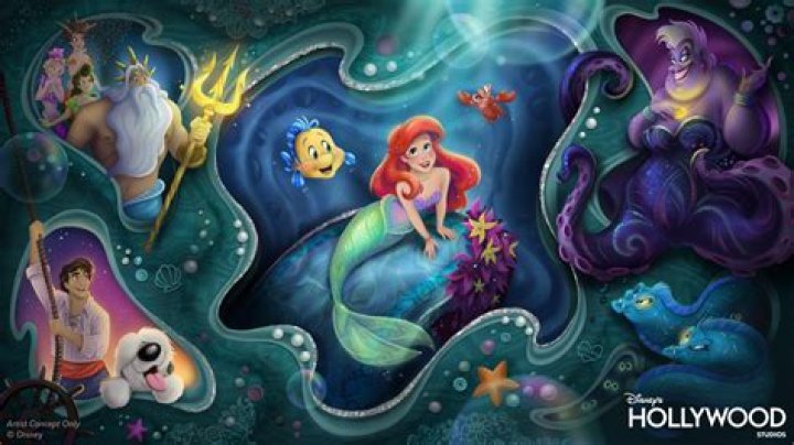 The Enchanting Journey Of 