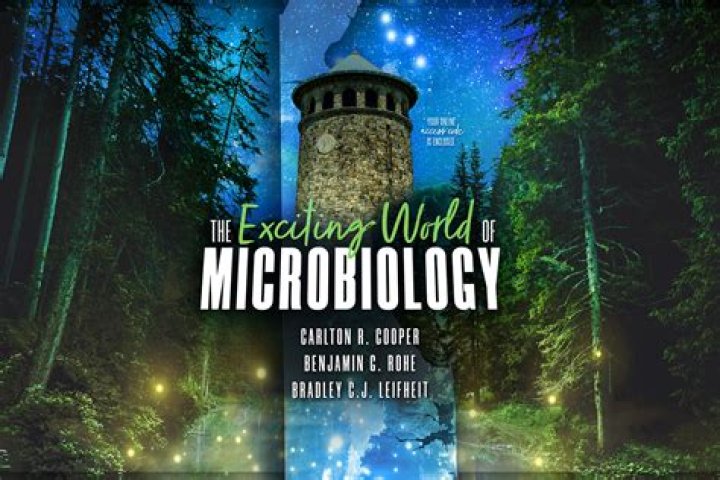 The Exciting World Of Crossover Movies: Where Universes Collide