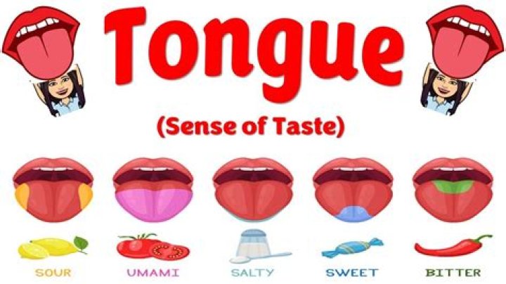 The Exquisite Journey Of Taste: The Flavors Are Melting On My Tongue