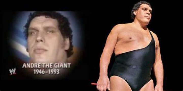 The Legendary Andre The Giant: Unlocking The Life Of Jean Christensen