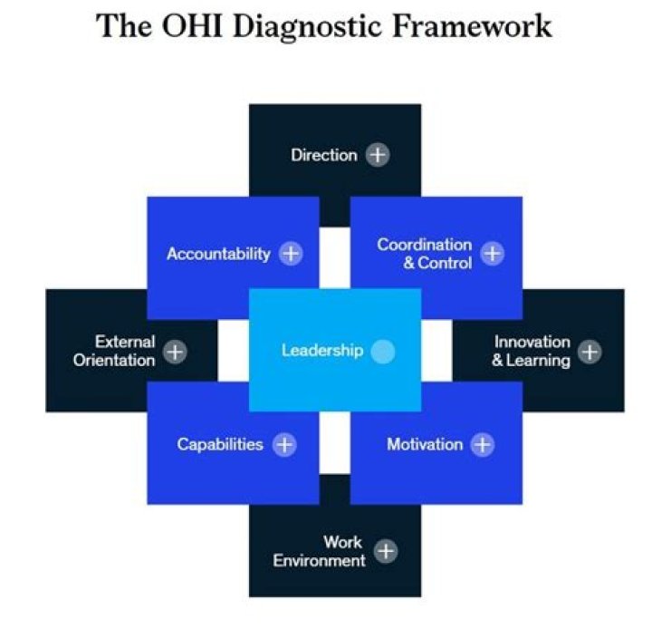 The McKinsey OHI Diagnostic Framework