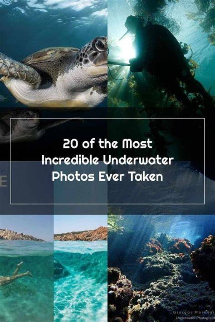 The Most Incredible Underwater Photos Ever Taken Reader's Digest
