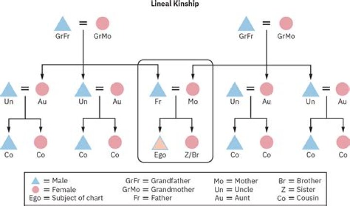 The Notorious BMF: Uncovering The Maternal And Paternal Roots