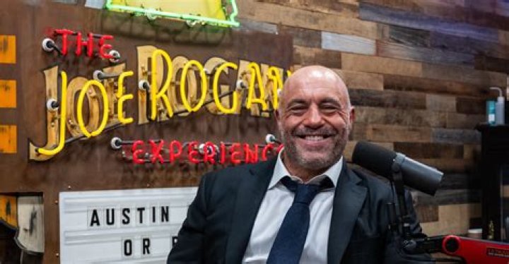 The Saga of Joe Rogan The New York Times