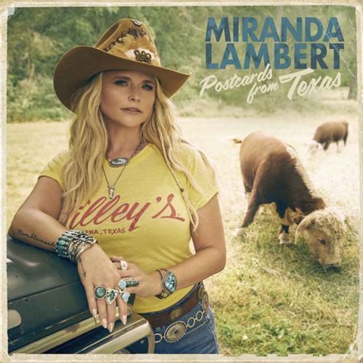 The Ultimate Guide To Miranda Lambert's Sister