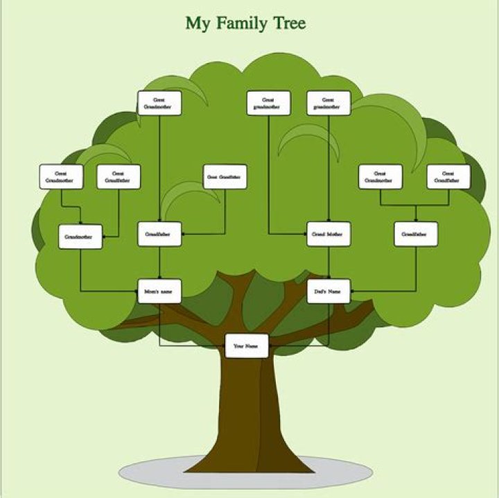 The Ultimate Guide To Tracing Your Family Tree With SZA