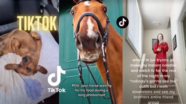 Tiktok Daily YouTube
