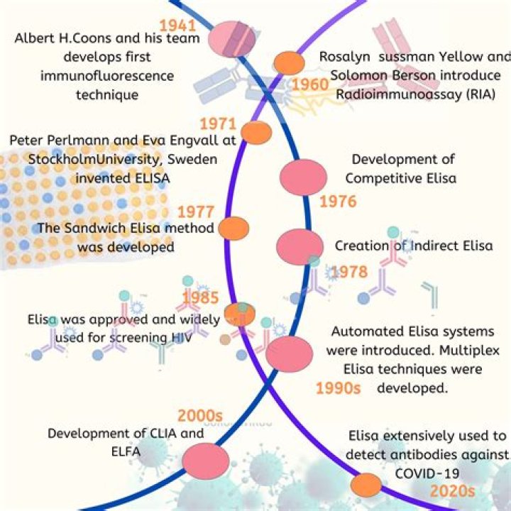 Timeline Of Bob And Eliza's Nuptial Journey
