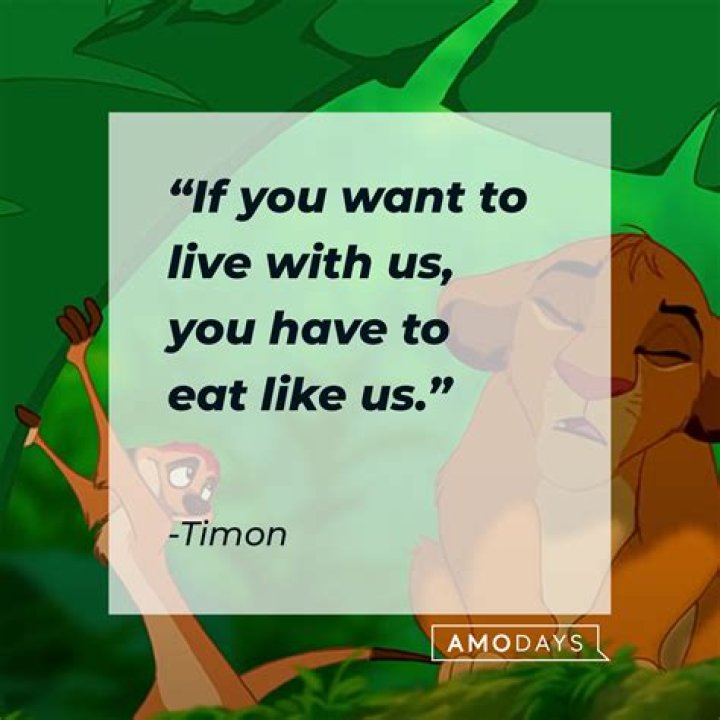 Timon quote Cartoon quotes, Social quotes, Friends quotes